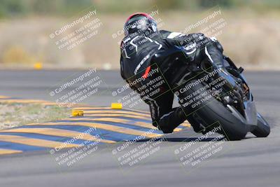 media/Oct-01-2023-SoCal Trackdays (Sun) [[4c570cc352]]/Turn 14 Backside (1120am)/